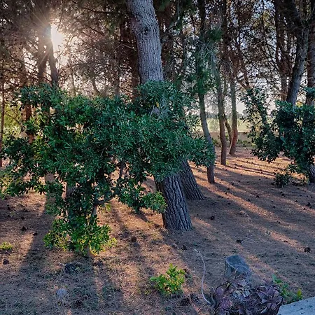 Villa Cesaria Daire Martano
